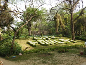 Romantic couple photoshoot at City Forest Ghaziabad surrounded by lush greenery and natural trails