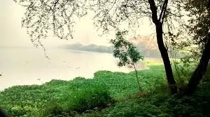  Pre-wedding shoot at Okhla Bird Sanctuary Delhi with nature and lakeside backdrop